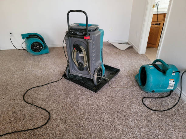 Best Local water damage restoration  in Glencoe, IL