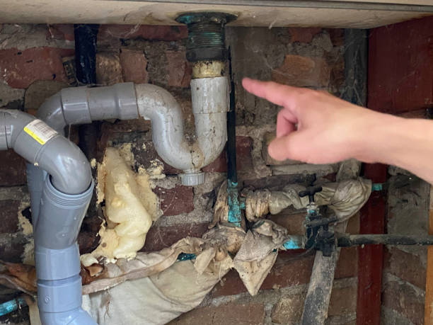 Best Residential water damage restoration  in Glencoe, IL