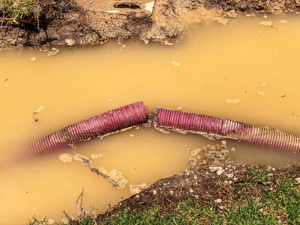 Best Water damage restoration near me  in Glencoe, IL