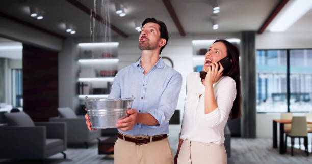 Best Water damage contractors near me  in Glencoe, IL