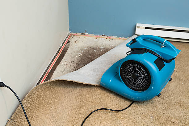 Best Flooded house restoration  in Glencoe, IL